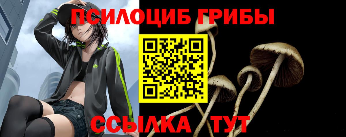 Псилоцибиновые грибы Psilocybine cubensis Изобильный