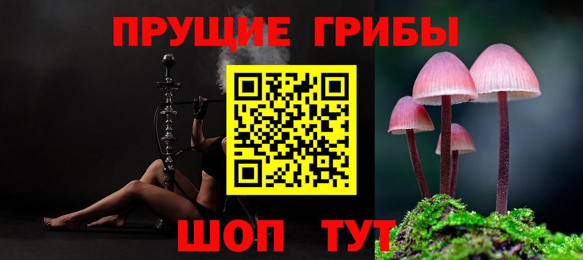 Изобильный  Галлюциногенные грибы прущие грибы  Вход с VPN 